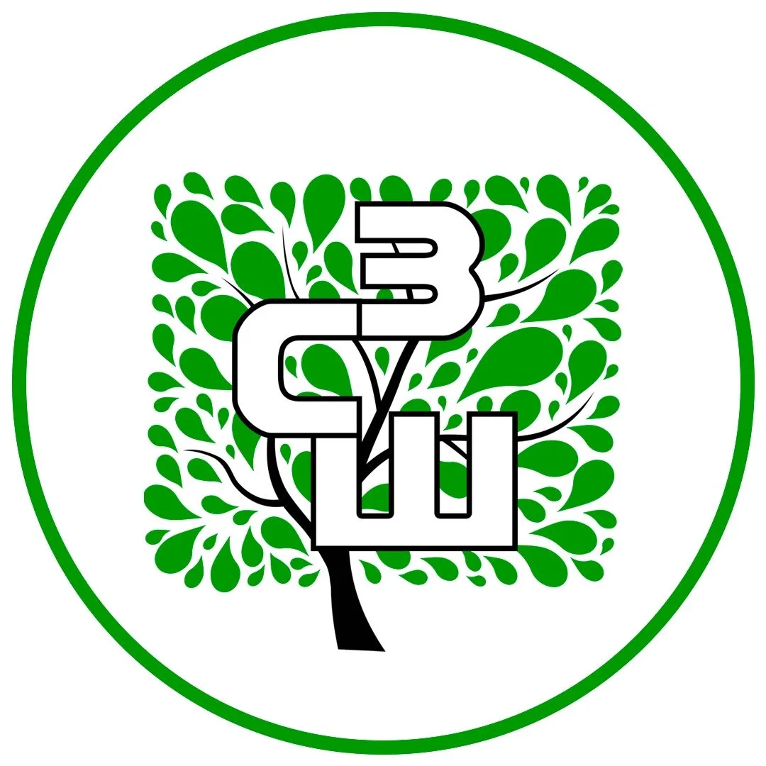 Иконка Канал МБОУ «Заостровская СШ» — портал Max