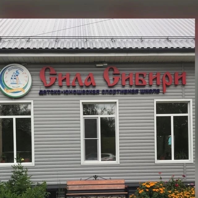 Иконка Канал ДЮСШ "СИЛА СИБИРИ" — портал Max