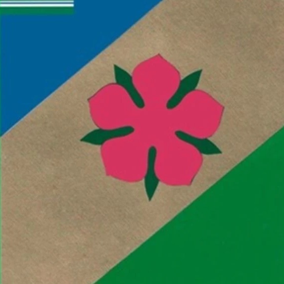 Иконка Канал Бираканское городское поселение — портал Max