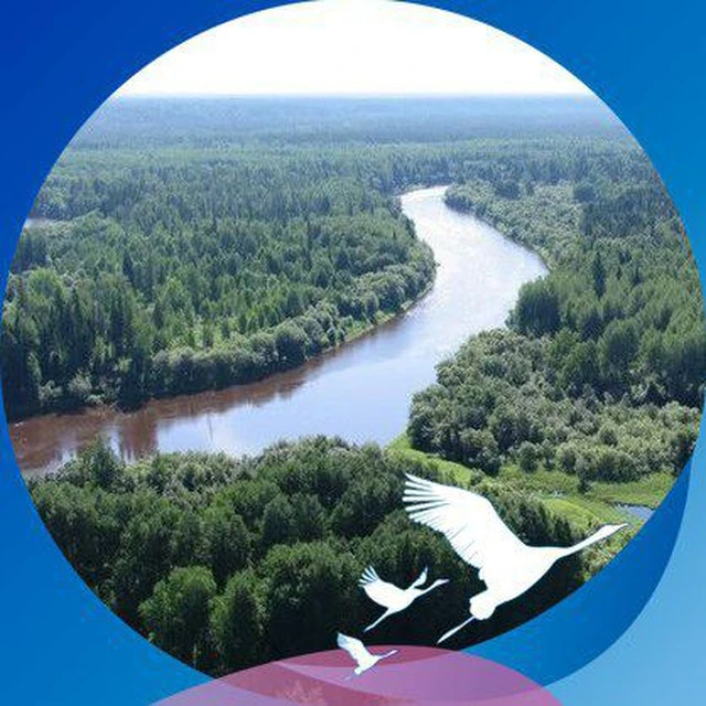 Парбигское сельское поселение Бакчарского района Томской области — Канал Макс рейтинг Парбигское сельское поселение Бакчарского района Томской области