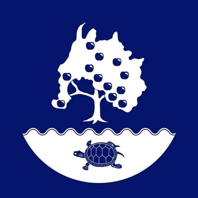 Иконка Канал АМО "Приволжский район" — портал Max