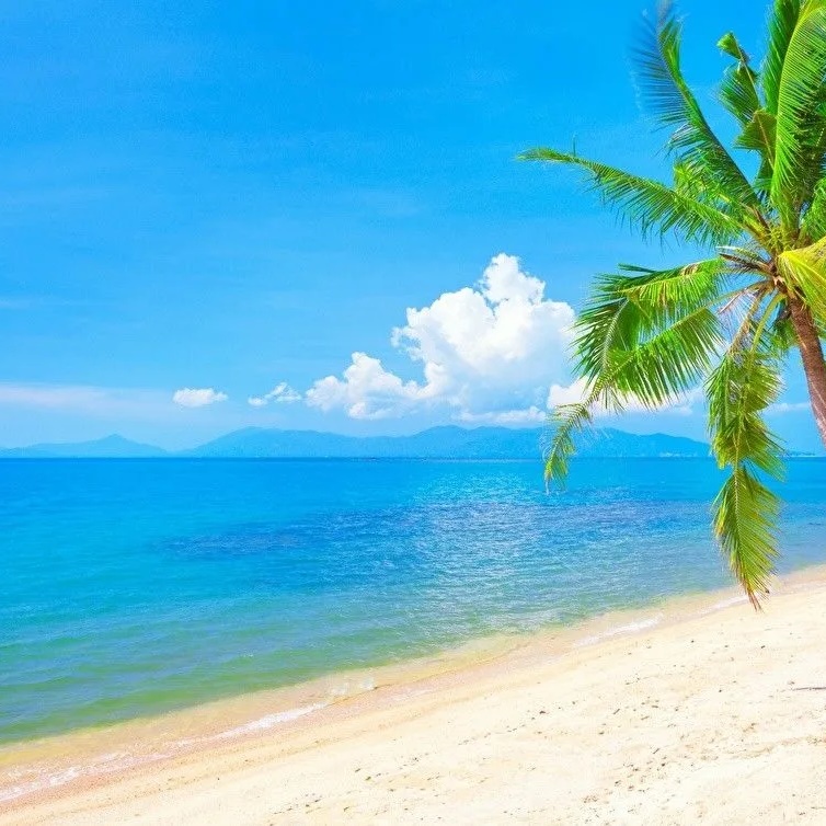 Иконка Канал Deep House — портал Max