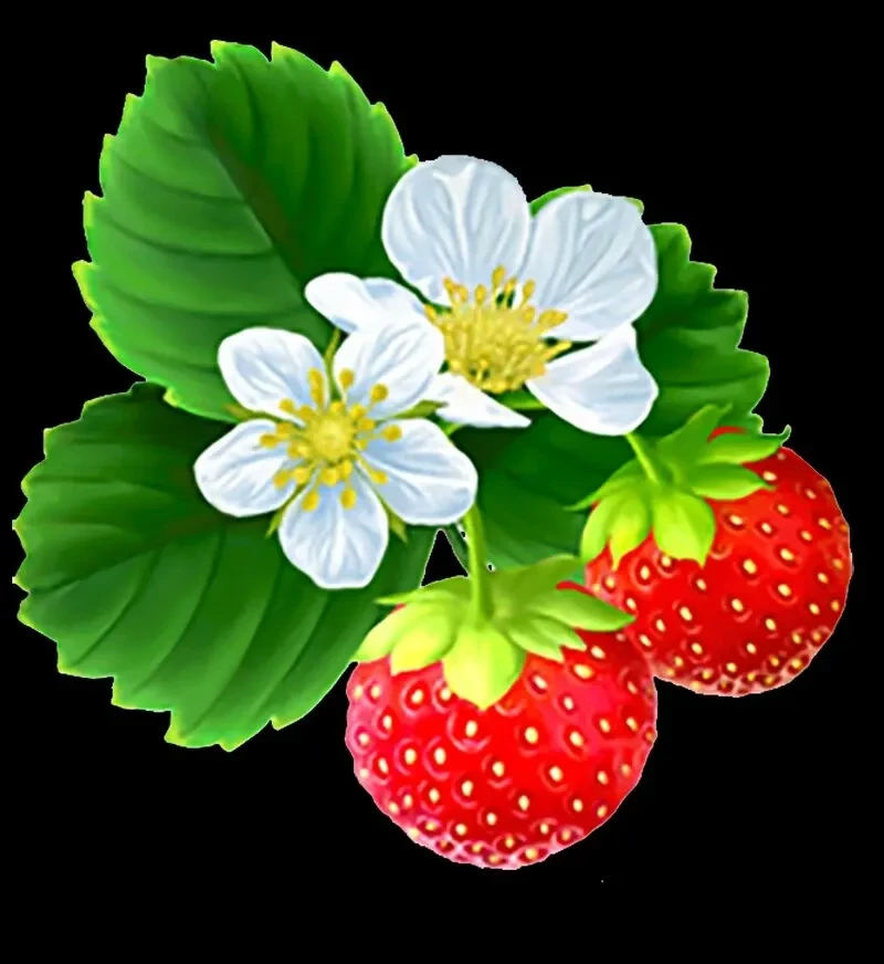 Иконка Канал МБДОУ  Детский сад № 70 "Ягодка" — портал Max