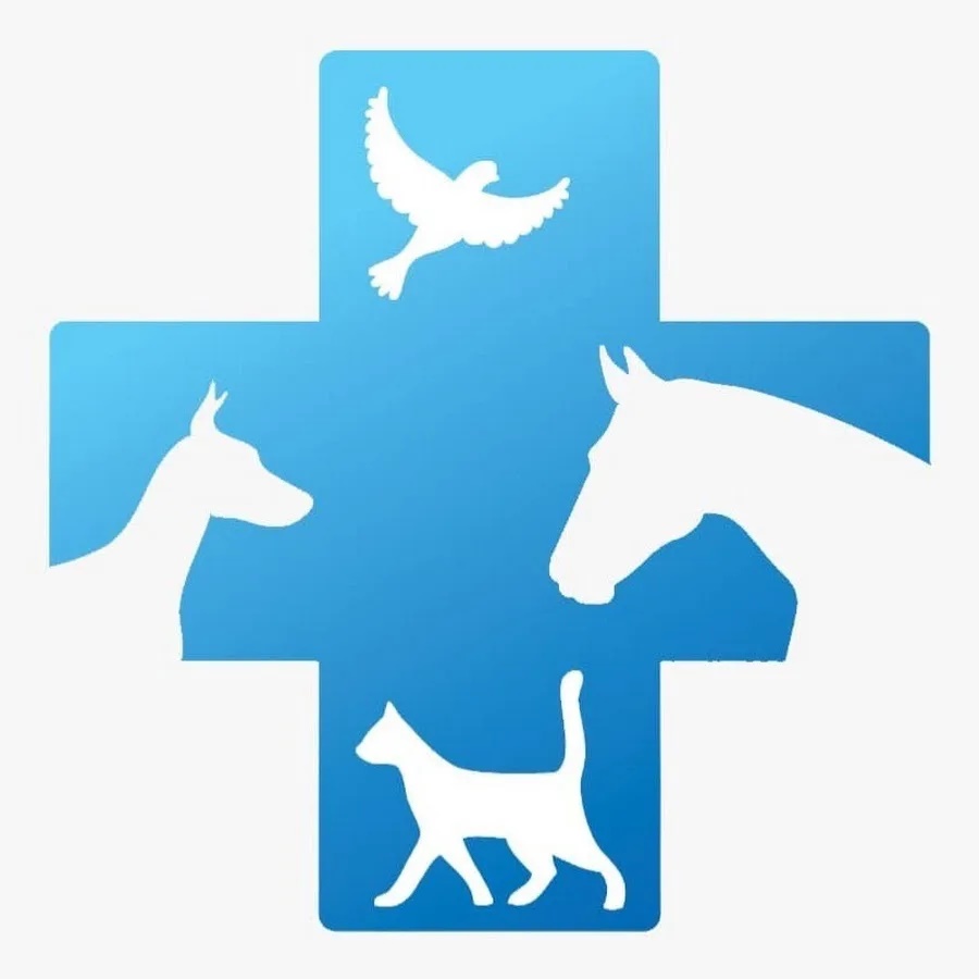 Иконка Канал ГБУ КО "Бабынинская районная СББЖ" — портал Max