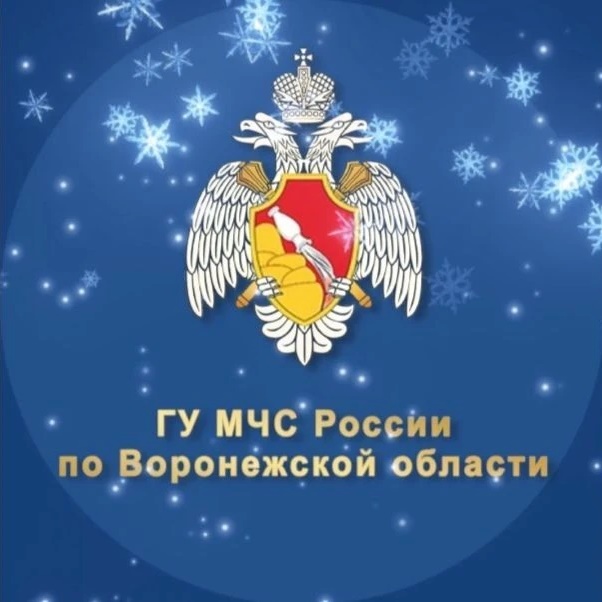 МЧС Воронежской области — Канал Макс рейтинг МЧС Воронежской области