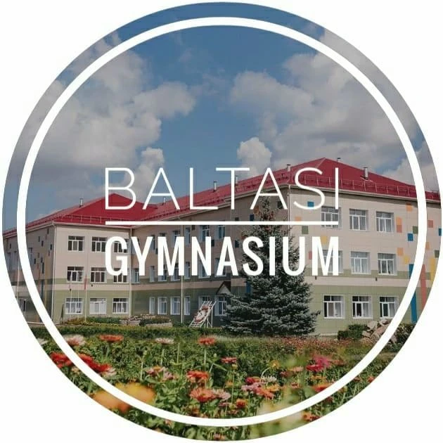 Иконка Канал МБОУ "Балтасинская гимназия" — портал Max