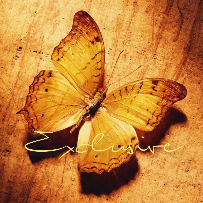 Иконка Канал এꨄ  Фото для души  এꨄ — портал Max