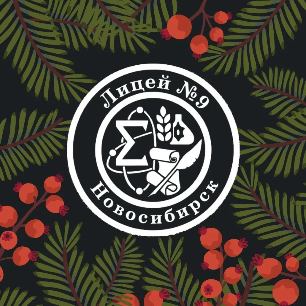 Иконка Канал МАОУ "Лицей №9" — портал Max