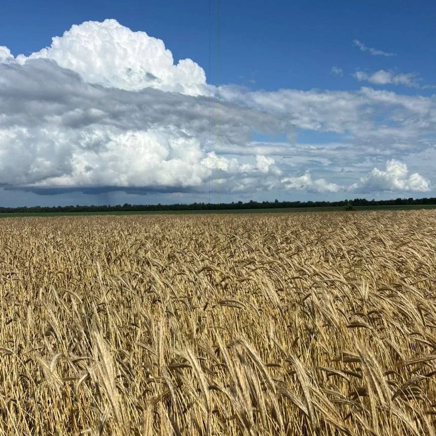 Иконка Канал Администрация Салтынского сельского поселения Урюпинский муниципальный район Волгоградской области — портал Max