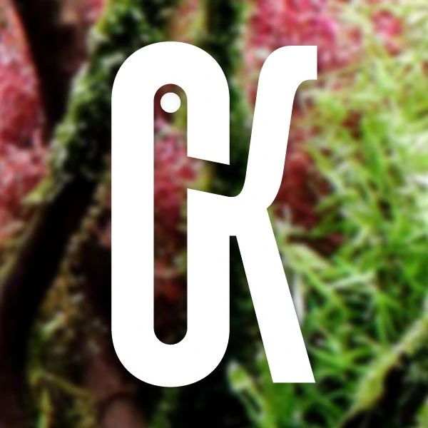 Иконка Канал Скалярики — портал Max