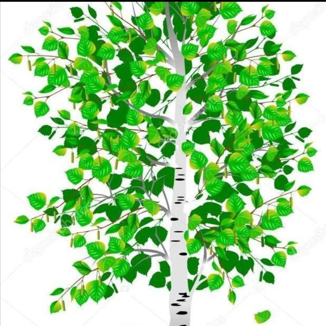 Иконка Канал МДОБУ центр развития ребёнка - детский сад № 11 "Берёзка" — портал Max