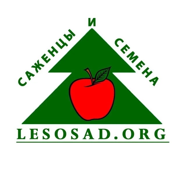 Иконка Канал lesosad.org - саженцы, семена, товары для дачи — портал Max