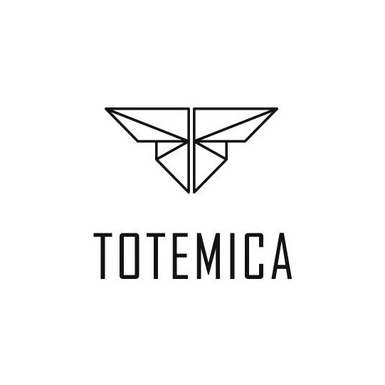 Иконка Канал TOTEMICA — портал Max
