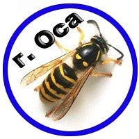 Иконка Канал Оса | Осинский район, Пермский край - Объявления — портал Max