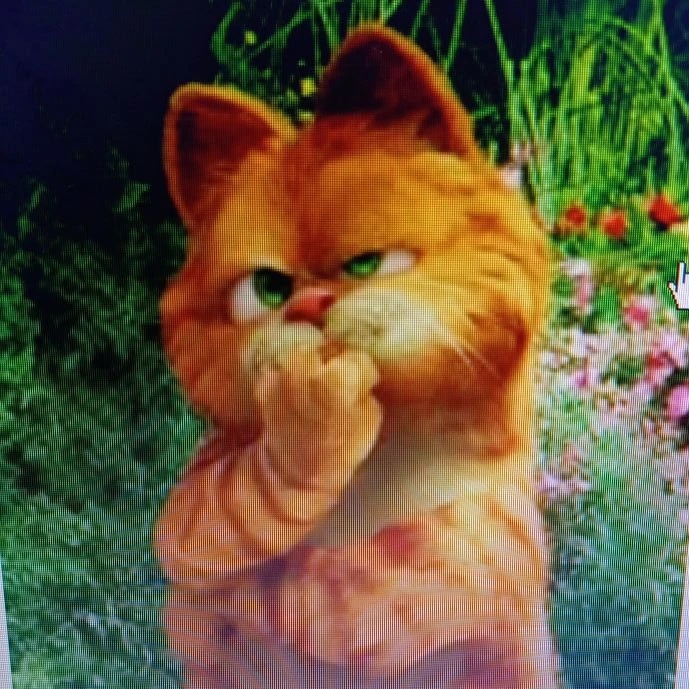 Иконка Канал ГБУ ДОО ЗО Фруктовский детский 16 Черешенка Мелитопольского района — портал Max