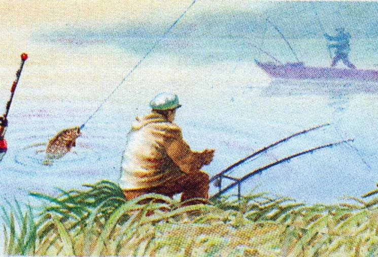 Иконка Канал ВЯТСКАЯ РЫБАЛКА - Киров и область — портал Max