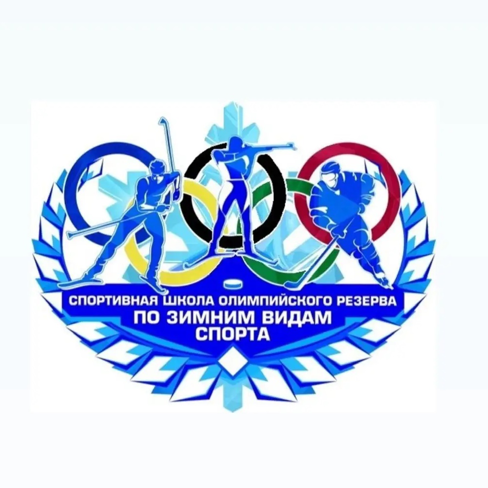 Иконка Канал Республиканская спортивная школа олимпийского резерва по зимним видам спорта "Барс" — портал Max
