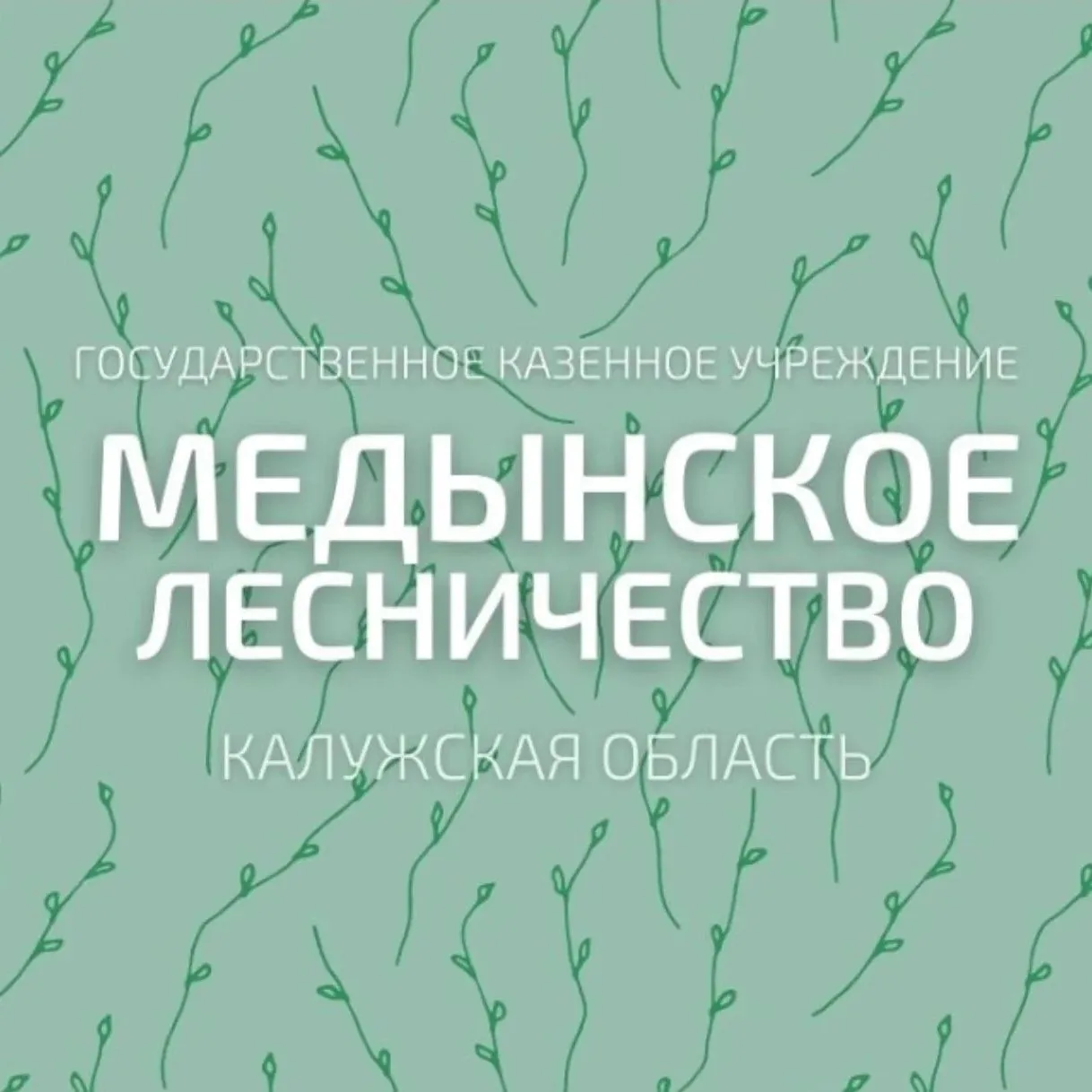Иконка Канал ГКУ КО "Медынское лесничество" — портал Max