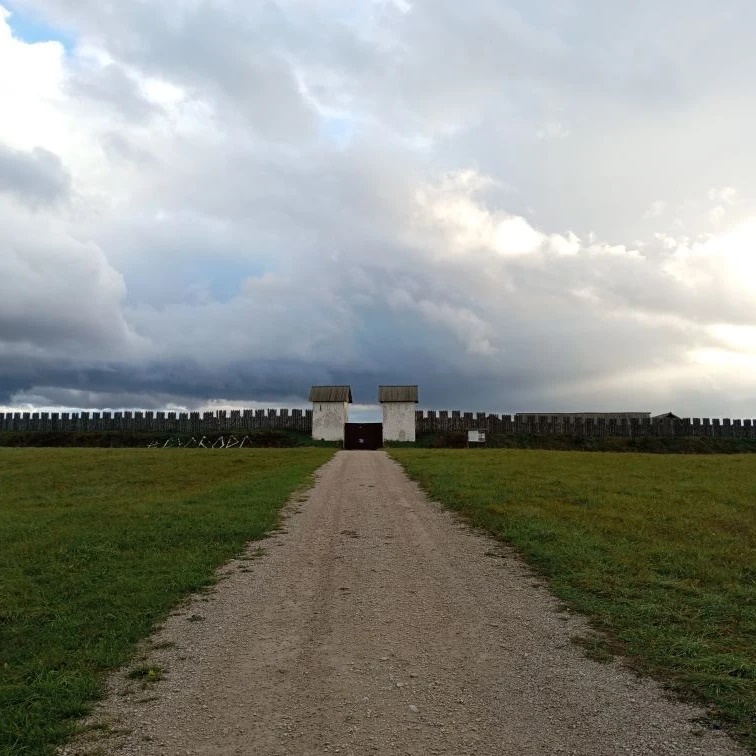 Иконка Канал Русборг — портал Max