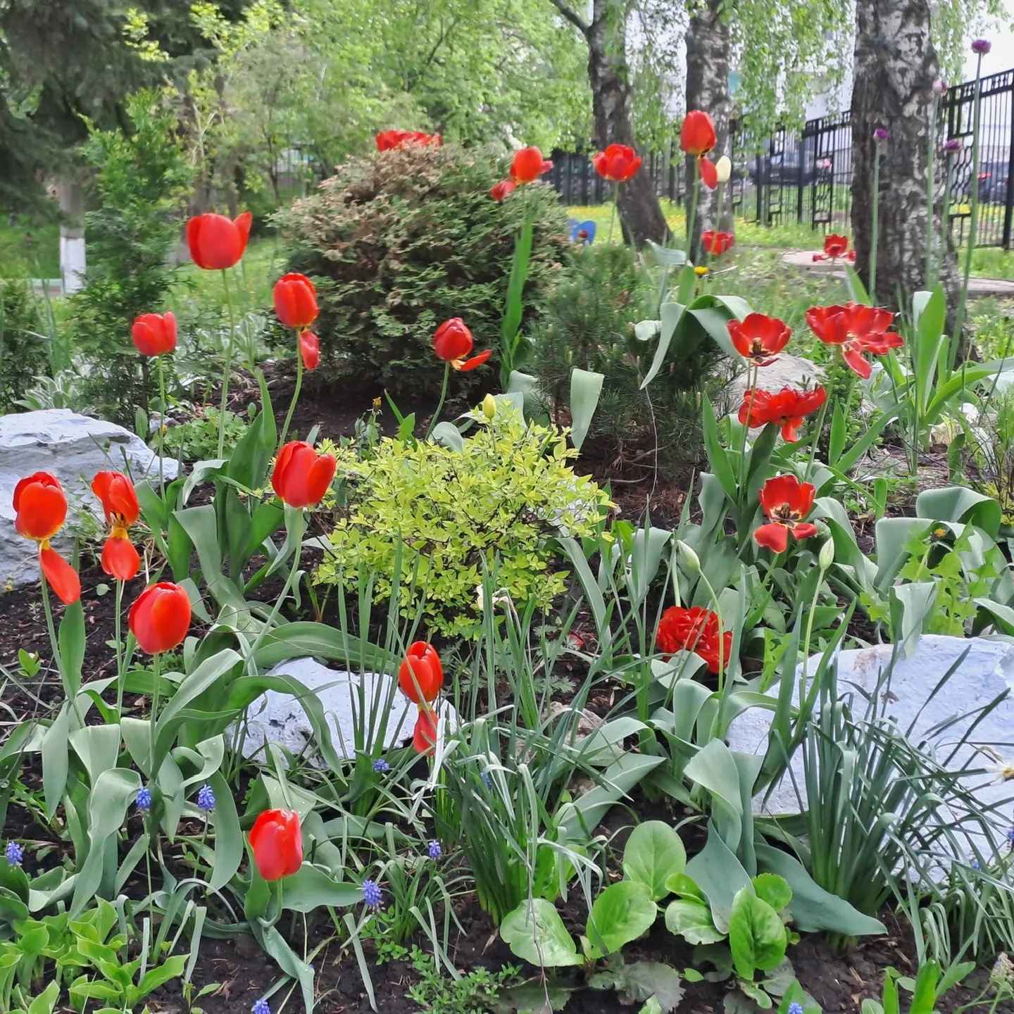 Иконка Канал Детский сад №248 г. Уфа — портал Max