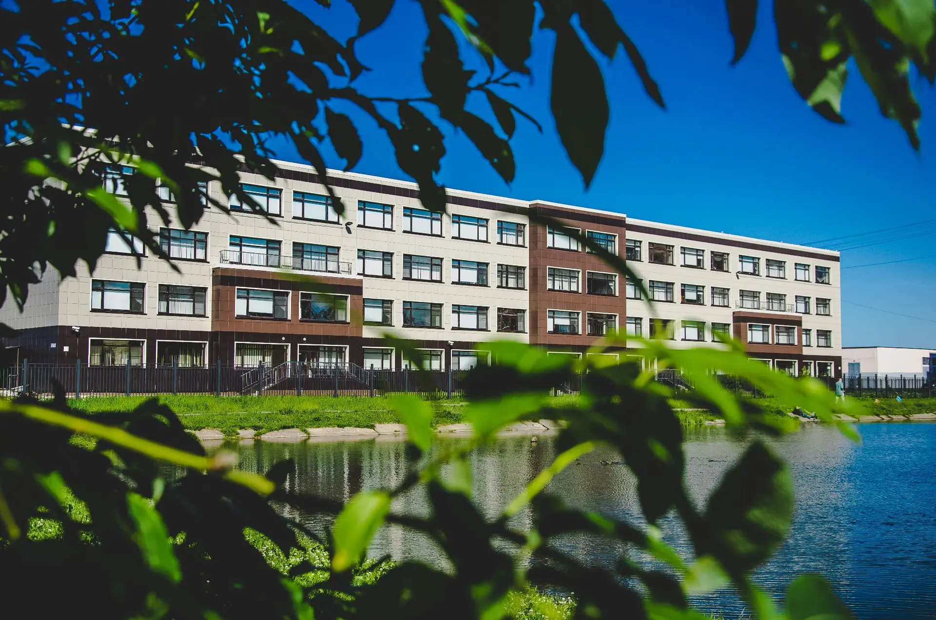 ГБОУ Школа №319 Санкт-Петербурга — Канал Макс рейтинг ГБОУ Школа №319 Санкт-Петербурга