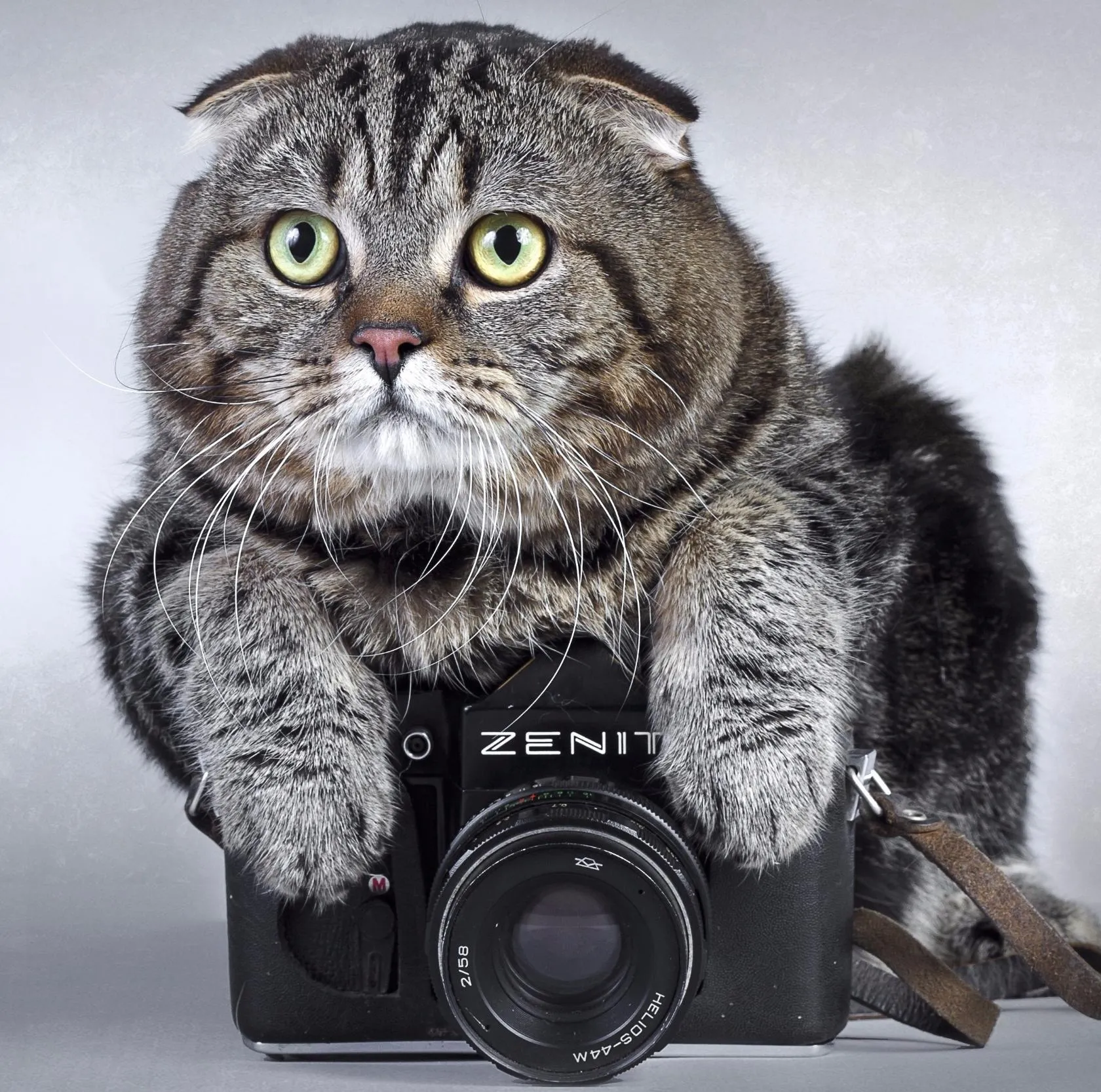 Аватар Группа Vr — рейтинг Max