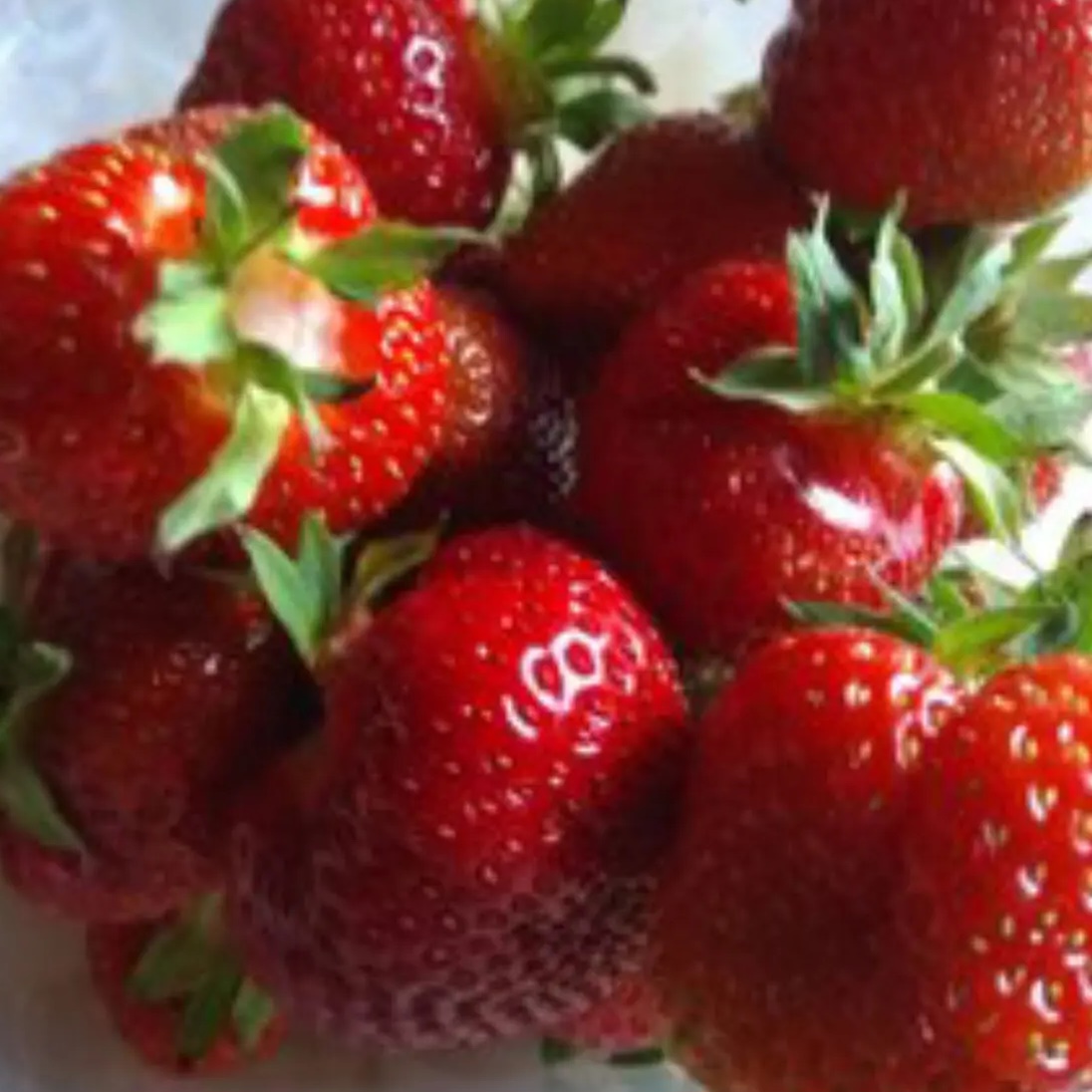 Иконка Канал Секреты жизни на даче — портал Max