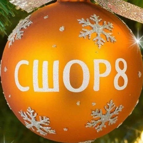 Иконка Канал СШОР № 8 имени Е. Николаевой — портал Max