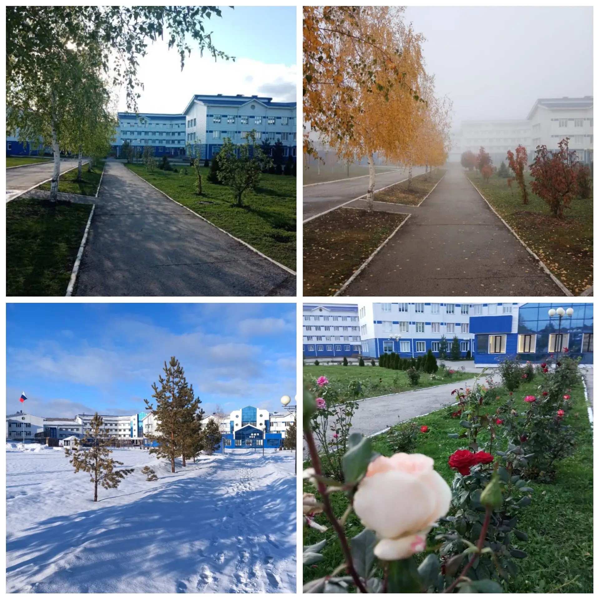 Иконка Канал ГБОУ СОШ С.КАМЫШЛА — портал Max