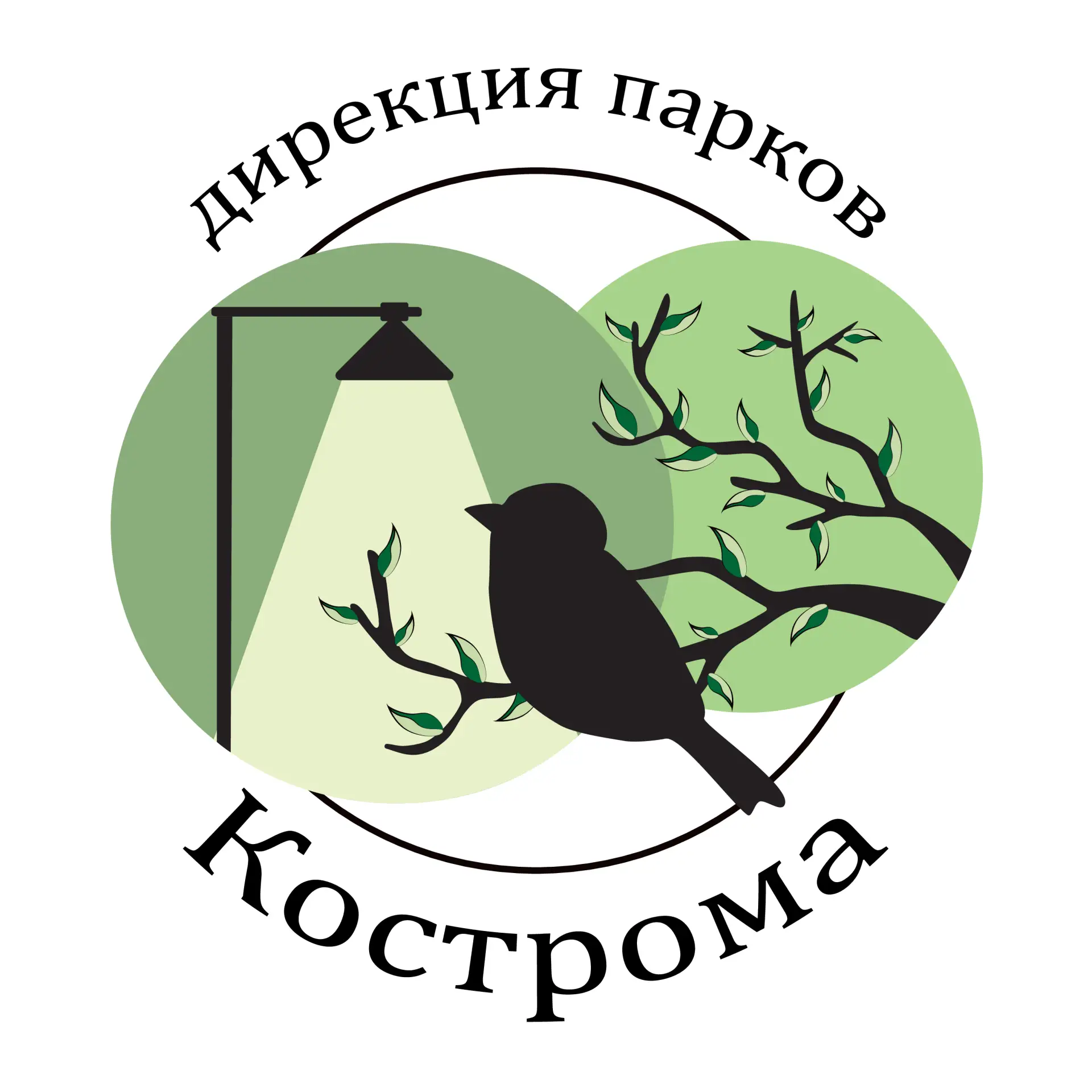 Иконка Канал Дирекция парков города Костромы — портал Max