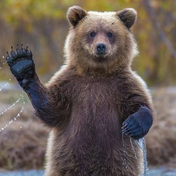 Иконка Канал КРАСИВЫЕ КАДРЫ — портал Max