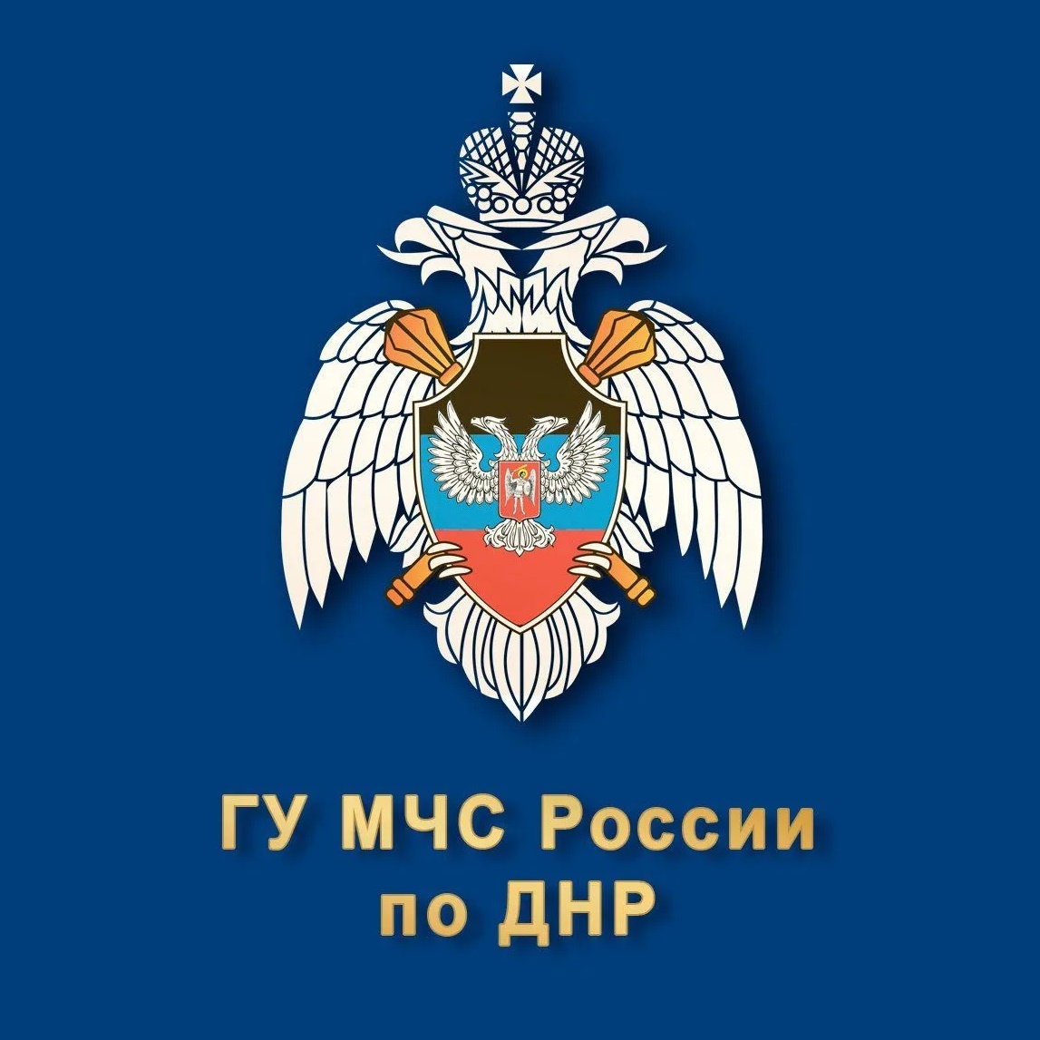 Иконка Канал МЧС ДНР — портал Max