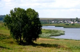 Иконка Канал МКУК "Шибковский центр досуга" — портал Max