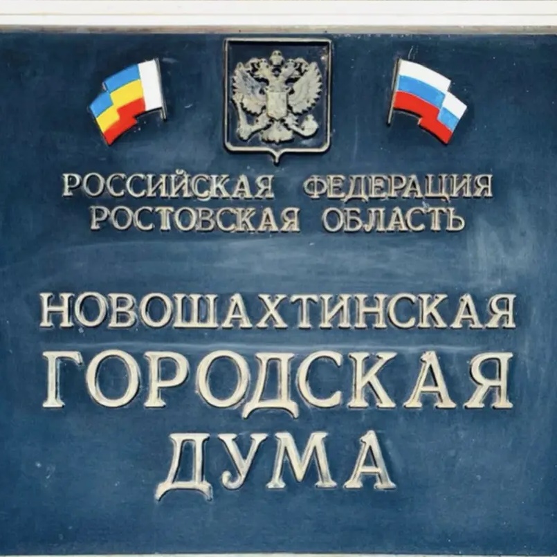 Иконка Канал Новошахтинская городская Дума — портал Max