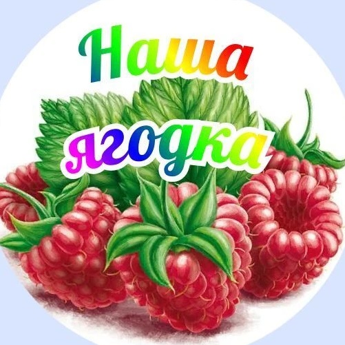 Иконка Канал МБДОУ ДС № 5 "Ягодка" — портал Max