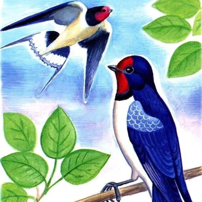 Муниципальное казенное дошкольное образовательное учреждение детский сад N26 «Ласточка» с. Прикумское Минераловодского района — Канал Макс рейтинг Муниципальное казенное дошкольное образовательное учреждение детский сад N26 «Ласточка» с. Прикумское Минераловодского района