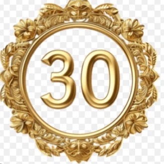 Иконка Канал МАОУ МО Динской район СОШ №30 имени Н.А. Примака — портал Max