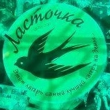 Иконка Канал МАУ ДОЛ ЛАСТОЧКА — портал Max