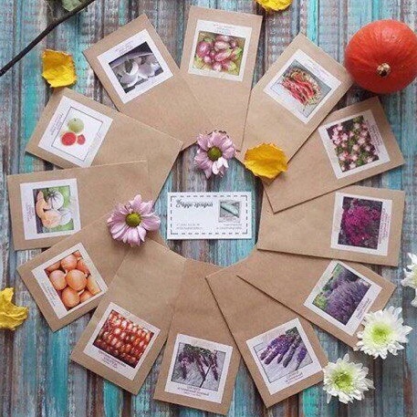 Иконка Канал Чудогрядка.рф | Сад. Огород — портал Max