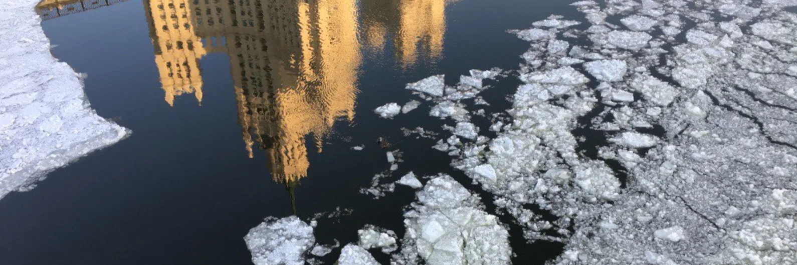 Иконка Канал Музыка в стихах — портал Max