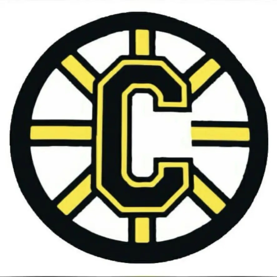 Иконка Канал СШ Смена г.Казани — портал Max