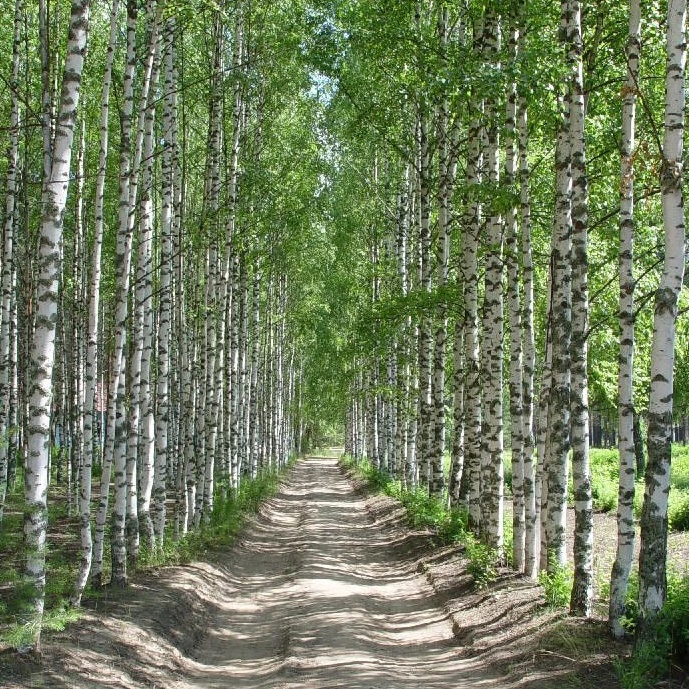 Администрация Кумёнского сельского поселения — Канал Макс рейтинг Администрация Кумёнского сельского поселения