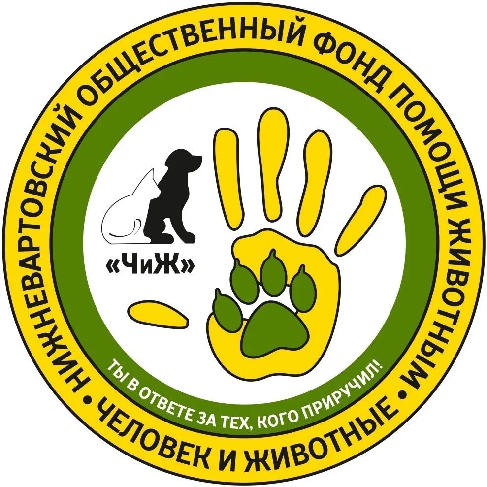 Иконка Канал Фонд помощи БЕЗДОМНЫМ животным ЧиЖ — портал Max