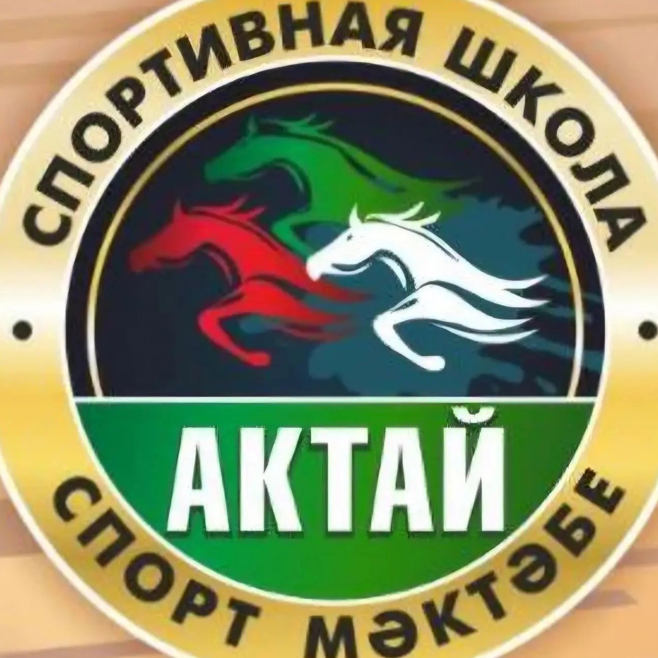 Иконка Канал МБУ ДО "СШ "Актай" НМР РТ — портал Max