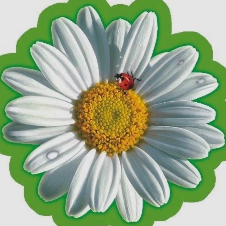 Иконка Канал МБДОУ "Детский сад Ñ32 "Ромашка" — портал Max