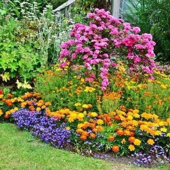 Иконка Канал ДАЧНЫЕ ЗАМЕТКИ дача сад огород — портал Max