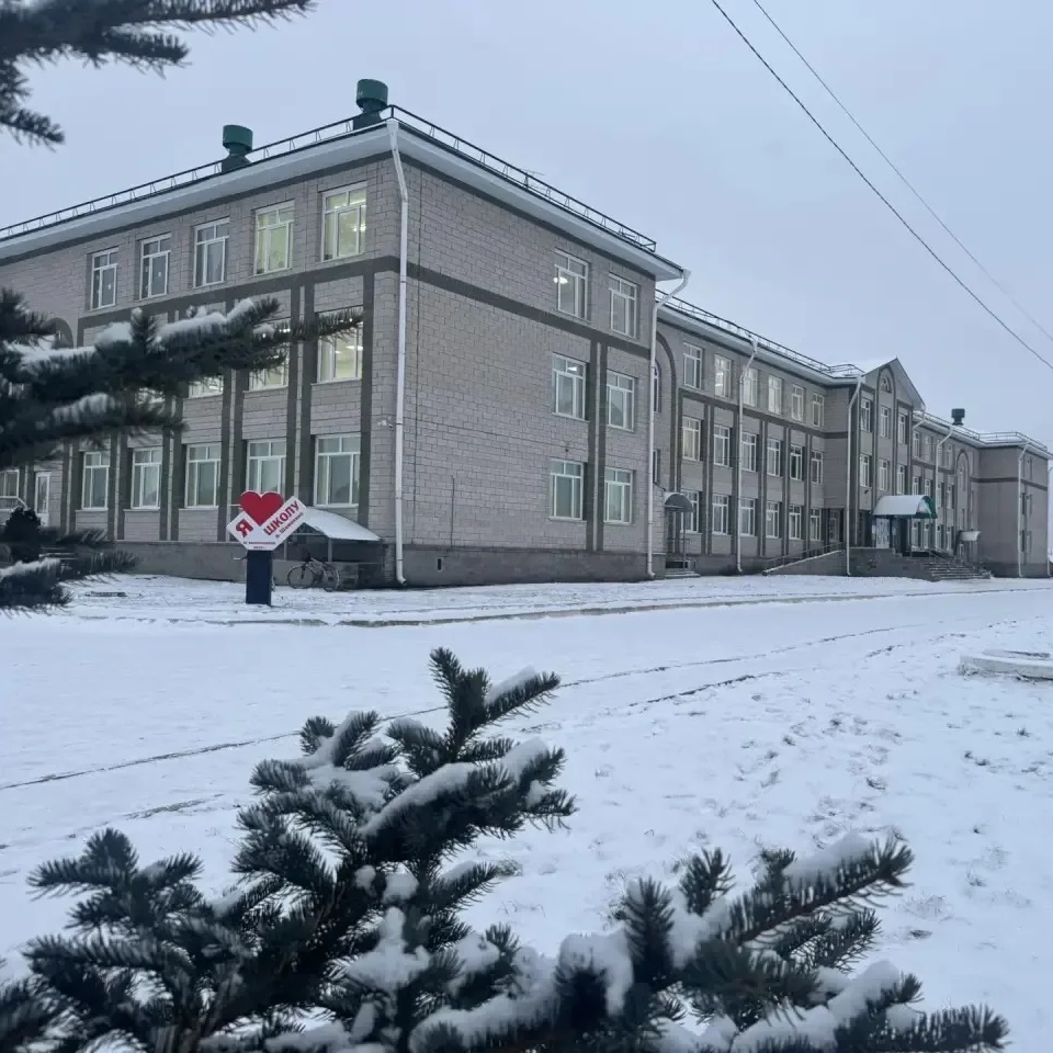 Иконка Канал МОБУ СОШ д. Шамонино — портал Max