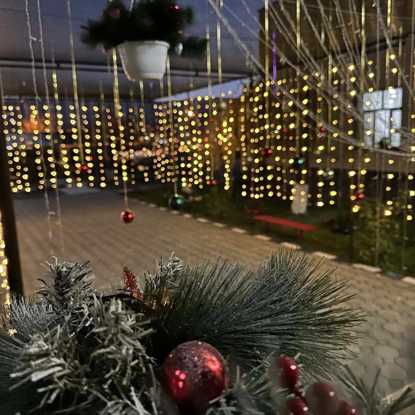 Иконка Канал МБДОУ 116 «Светлячок» — портал Max