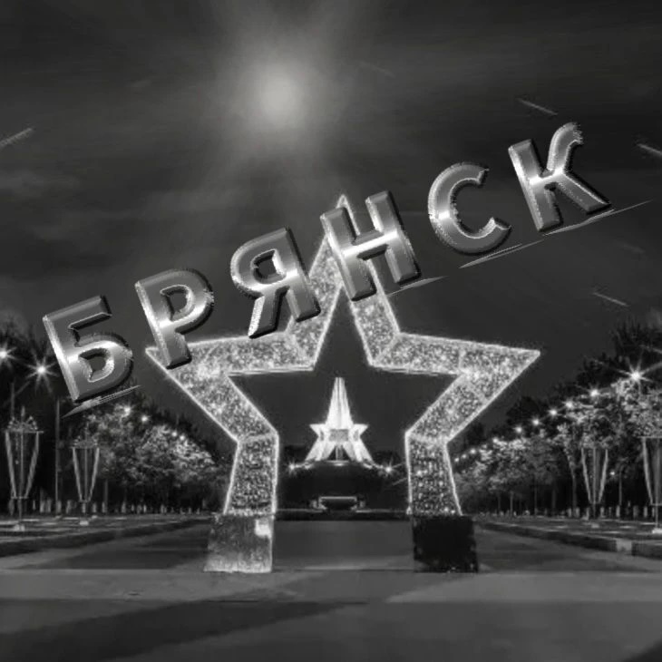 Иконка Канал Брянск — портал Max