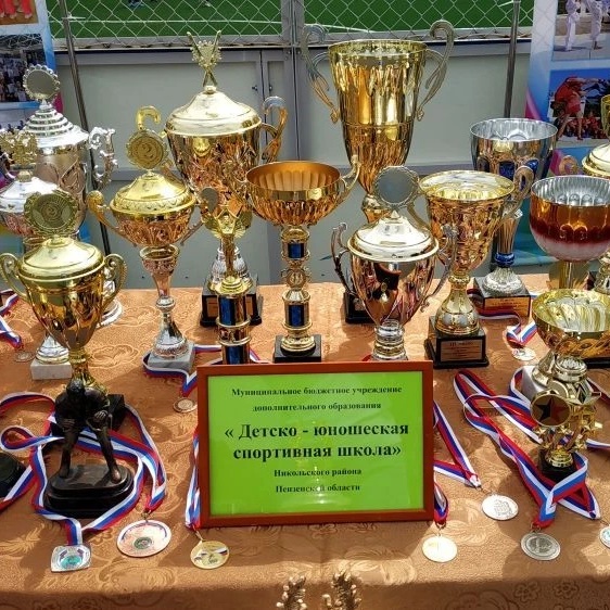 Иконка Канал МБУ ДО "ДЮСШ" НИКОЛЬСКОГО РАЙОНА — портал Max